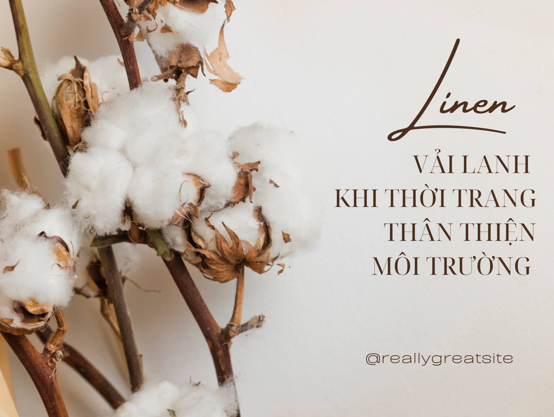 Chất liệu Vải Lanh thân thiện môi trường – Lựa chọn cho sức khỏe